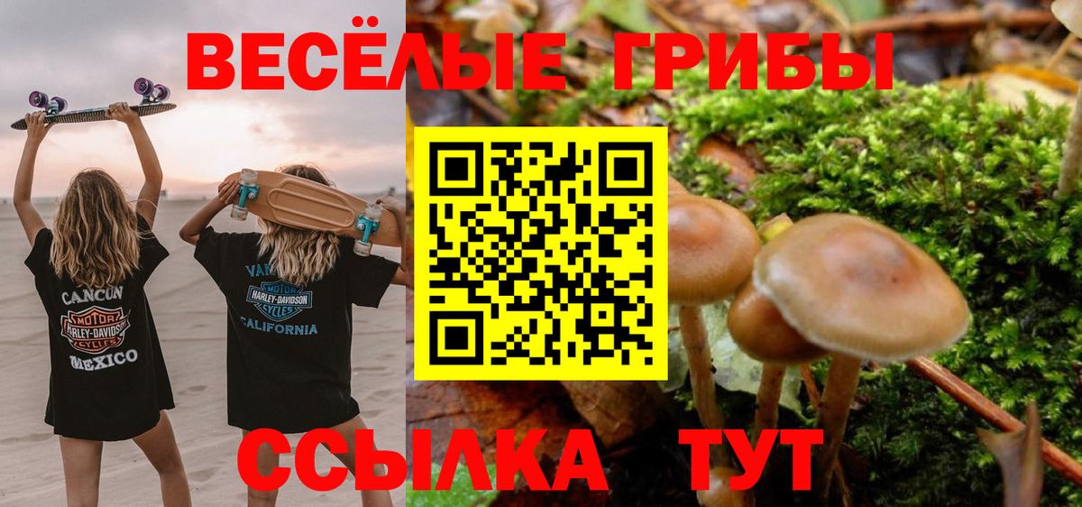 как найти закладки  Псилоцибиновые грибы прущие грибы  Вход с VPN  Серпухов 